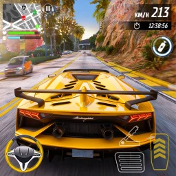 Real City Car Driving 3D 아이콘